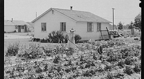 There’s Something Special About These 10 Northern California Farms From The Past