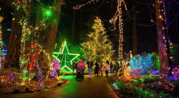 It’s Not Christmas In Oregon Until You Do These 10 Enchanting Things