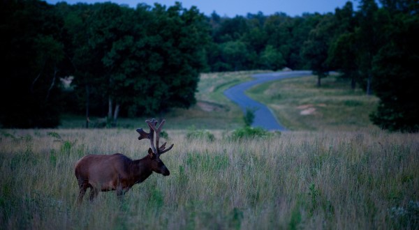 10 Places In Kentucky That Are Off The Beaten Path But Worth The Trip