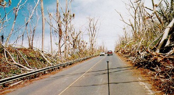 A Terrifying, Deadly Storm Struck Hawaii In 1992 And No One Saw It Coming
