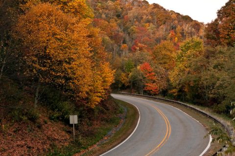 12 Unforgettable Road Trips To Take In Tennessee Before You Die