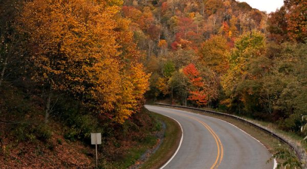 12 Unforgettable Road Trips To Take In Tennessee Before You Die