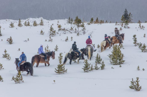 The Winter Horseback Riding Trail Near Denver That's Pure Magic