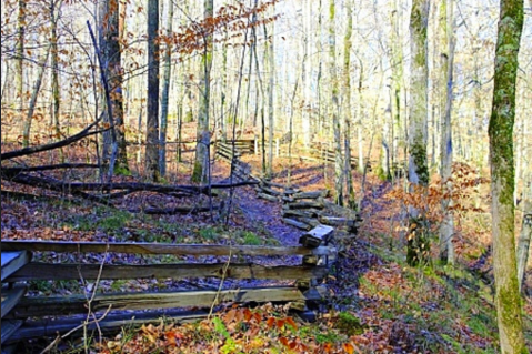 The Easy 1-Mile Winter Hike In Tennessee That's Positively Bewitching