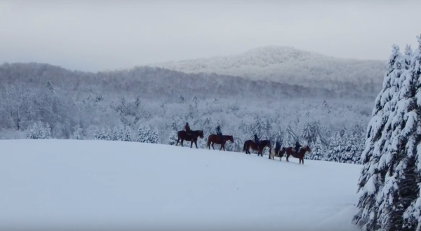 The Winter Horseback Riding Trail In Vermont That’s Pure Magic