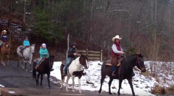 The Winter Horseback Riding Trail In Virginia That’s Pure Magic