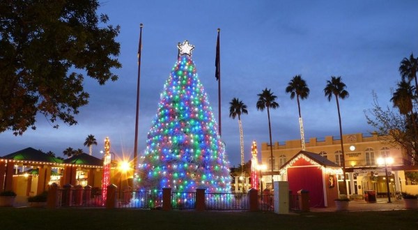 You’ve Never Seen A More Uniquely Arizona Christmas Tree Than This One