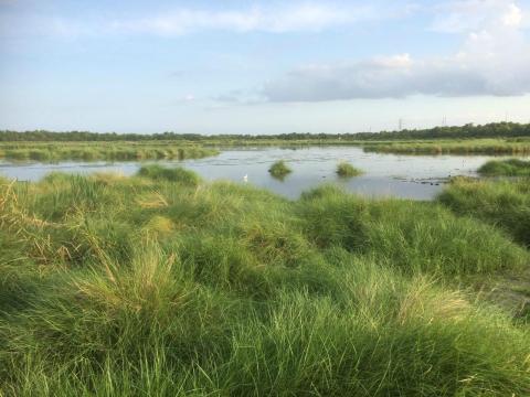 Here Is The Most Remote, Isolated Spot Close To New Orleans And It's Positively Breathtaking
