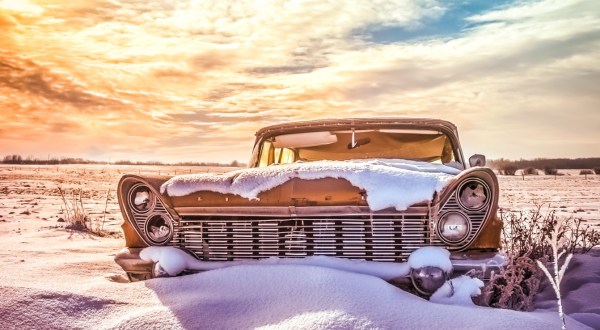 Mother Nature Is Reclaiming These Abandoned Automobiles And We Just Can’t Look Away