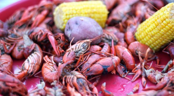 Every True Louisianian Has Had These 8 Bizarre Experiences At Least Once