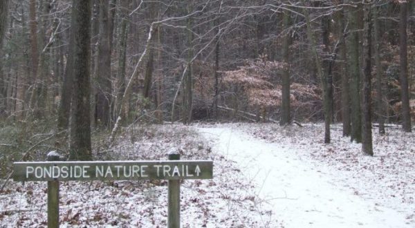 10 Picturesque Trails In Delaware That Are Perfect For Winter Hiking