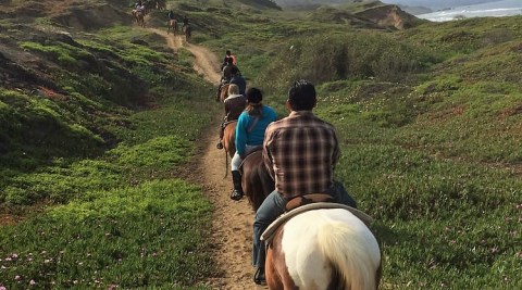 The Winter Horseback Riding Trail Near San Francisco That's Pure Magic