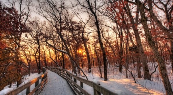 If You Live In Illinois, You’ll Want To Visit This Amazing Park This Winter