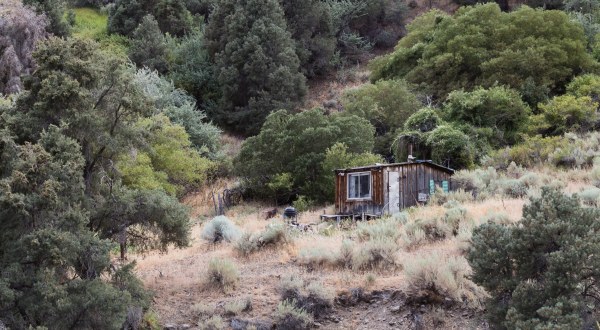 Nobody Knows Who Built This Survival Shelter Then Left It To Rot In The Middle Of Nowhere