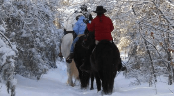 The Winter Horseback Riding Trail At Carousel Horse Farm In Maine Is Pure Magic
