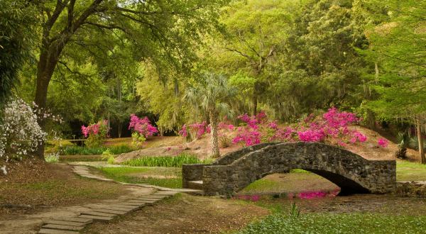 The Unique Park Everyone Near New Orleans Should Visit At Least Once