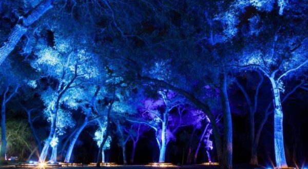 The Enchanted Forest Of Light In Southern California That Is Beyond Magical
