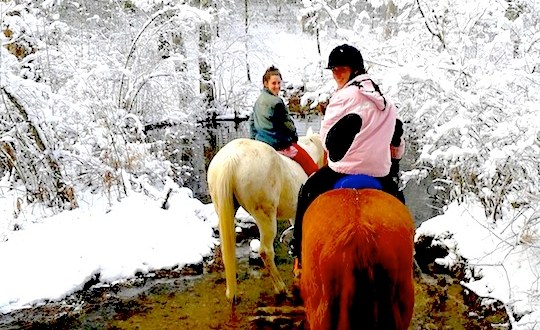 The Winter Horseback Riding Trail In Massachusetts That’s Pure Magic