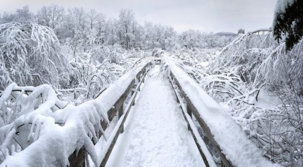 10 Picturesque Trails In Vermont That Are Perfect For Winter Hiking
