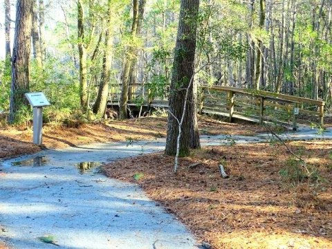 9 Easy Hikes To Add To Your Outdoor Bucket List In South Carolina