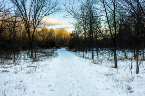 15 Picturesque Trails In Wisconsin That Are Perfect For Winter Hiking