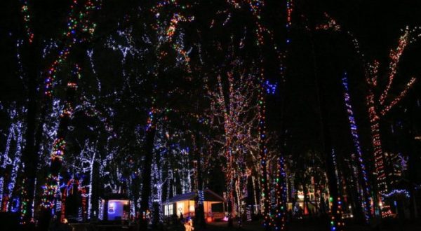 9 Perfect Things To Add To Your Alabama Winter Bucket List
