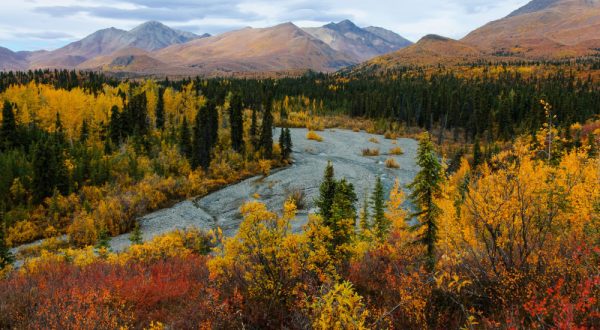17 Incredible Trips In Alaska That Will Change Your Life