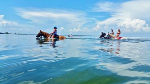 The Horseback Riding Trail In Florida That's Pure Magic