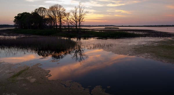 The Hidden Park That Will Make You Feel Like You’ve Discovered Delaware’s Best Kept Secret