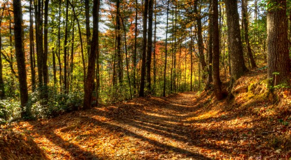 The Hidden Park That Will Make You Feel Like You’ve Discovered North Carolina’s Best Kept Secret