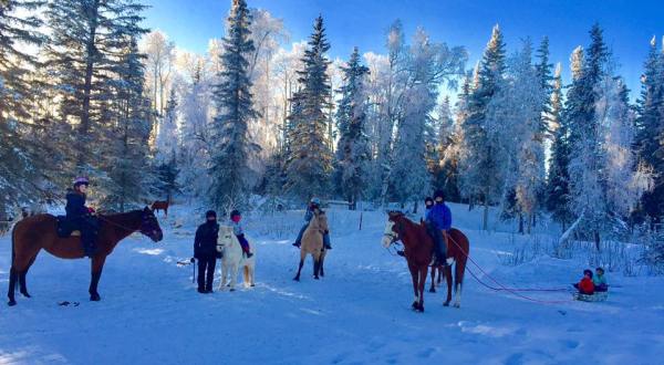 The Winter Horseback Riding Adventure In Alaska That’s Pure Magic