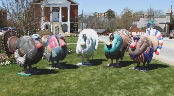 Giant Turkeys Have Taken Over This Small Town In South Carolina. Here’s Why.