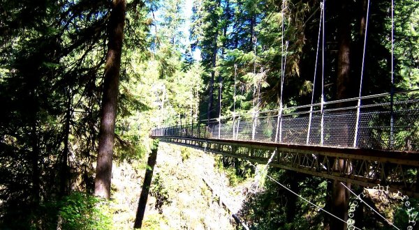 The Terrifying Swinging Bridge Near Portland That Will Make Your Stomach Drop