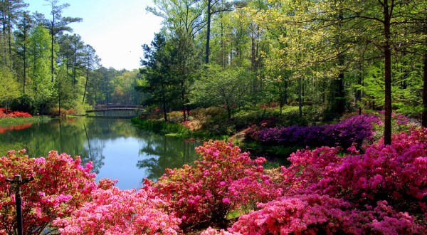 The Little-Known Natural Oasis Hiding In Georgia That Is Straight Out Of A Fairytale