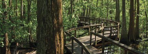 The Hidden Park That Will Make You Feel Like You've Discovered Louisiana’s Best Kept Secret