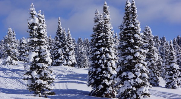 The Snowiest Spot In Idaho Is Completely Unexpected But Absolutely Stunning