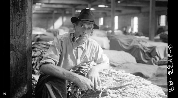 These 15 Rare Photos Show North Carolina’s Tobacco History Like Never Before