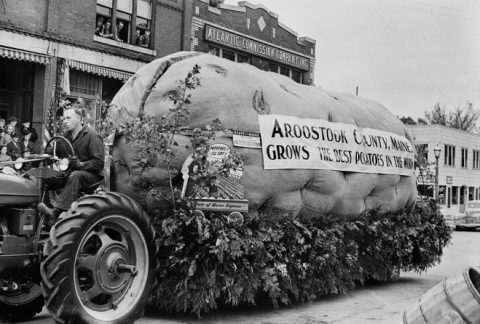 These 12 Rare Photos Show Maine's Potato Farming History Like Never Before