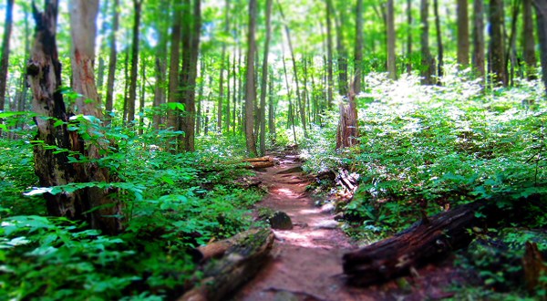 One Of The Most Beautiful Day Hikes In America Is Right Here In Virginia