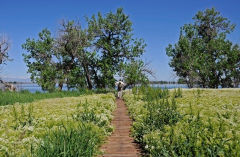 The Hidden Park That Will Make You Feel Like You've Discovered Denver's Best Kept Secret