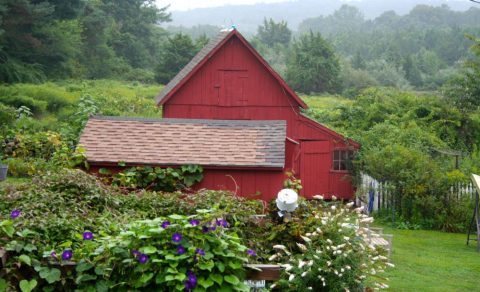 This Charming Farm In Connecticut Will Make You Love The Country