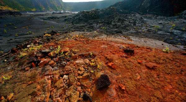 These 10 Hikes In Hawaii Will Lead You To Some Of The State’s Coolest Lava Formations