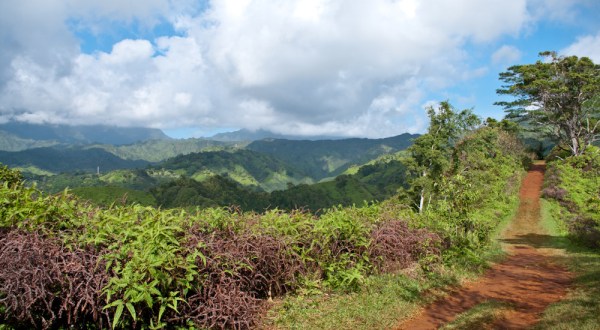 Everyone Should Take This Easy Hike Through The Hawaiian Jungle At Least Once