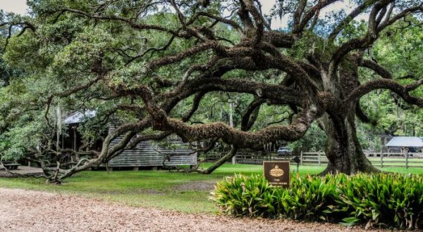 11 Reasons Living In Louisiana Is The Best – And Everyone Should Move Here