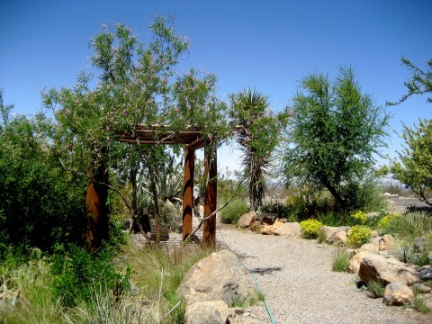 The Hidden Park That Will Make You Feel Like You've Discovered New Mexico's Best Kept Secret
