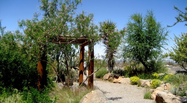 The Hidden Park That Will Make You Feel Like You’ve Discovered New Mexico’s Best Kept Secret