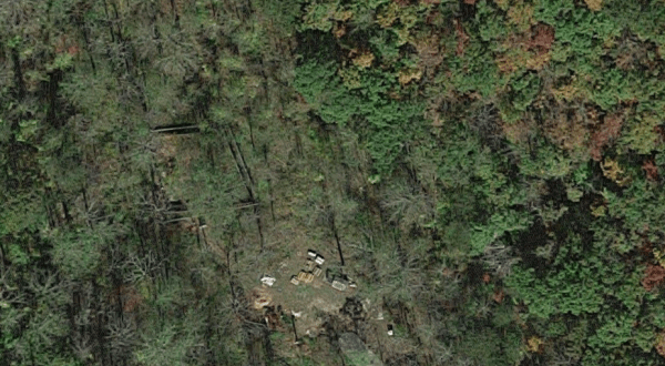 These Woods In North Carolina Are Hiding A Morbid Secret