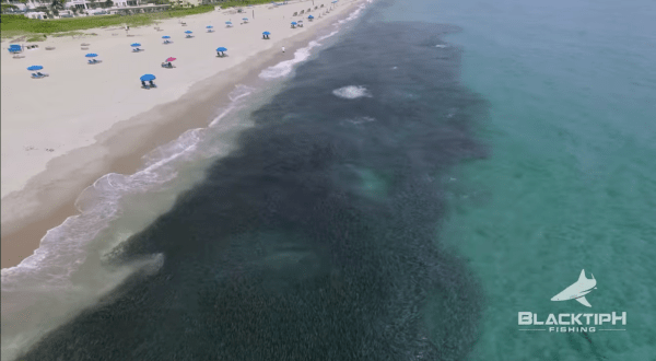 Someone Flew A Drone High Above Florida And Captured The Most Breathtaking Footage