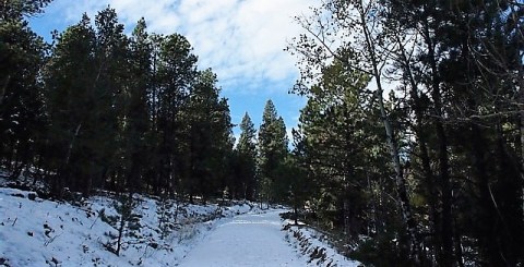 The Easy 1-Mile Winter Hike In Denver That's Positively Bewitching