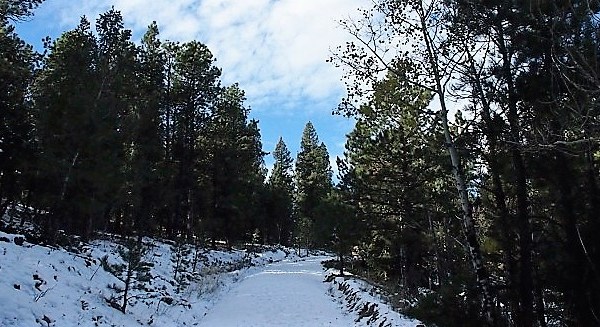 The Easy 1-Mile Winter Hike In Denver That’s Positively Bewitching